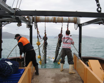 stark-bros-ocean-fisheries-commercial-fishing-south-island-new-zealand